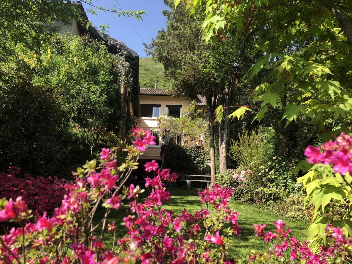 Chez Marianne "Chambres D'Hotes" Astano Εξωτερικό φωτογραφία
